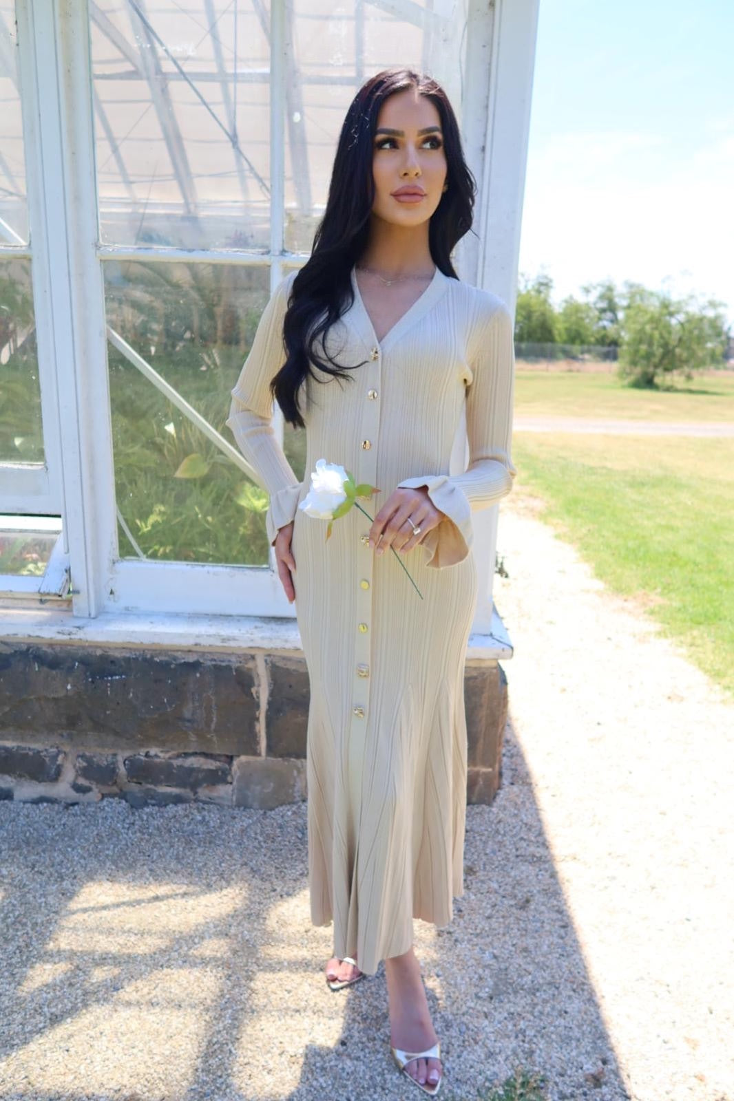 DAPHNE DRESS - CHAMPAGNE